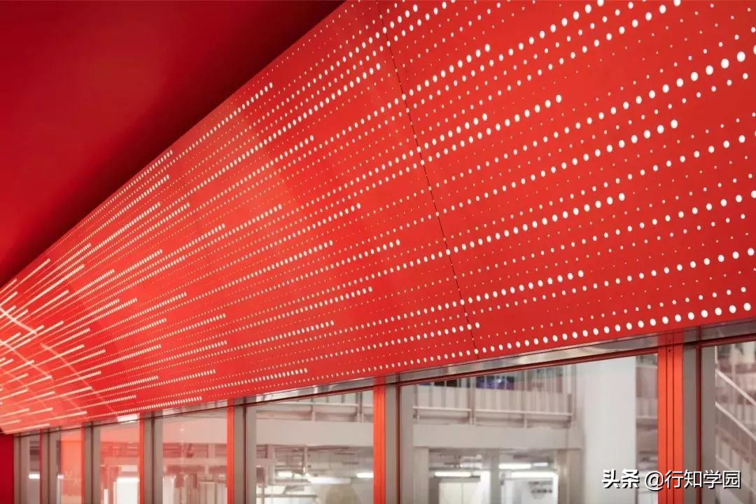 佐藤可士和新作，这可能是日本有史以来最大碗宽面