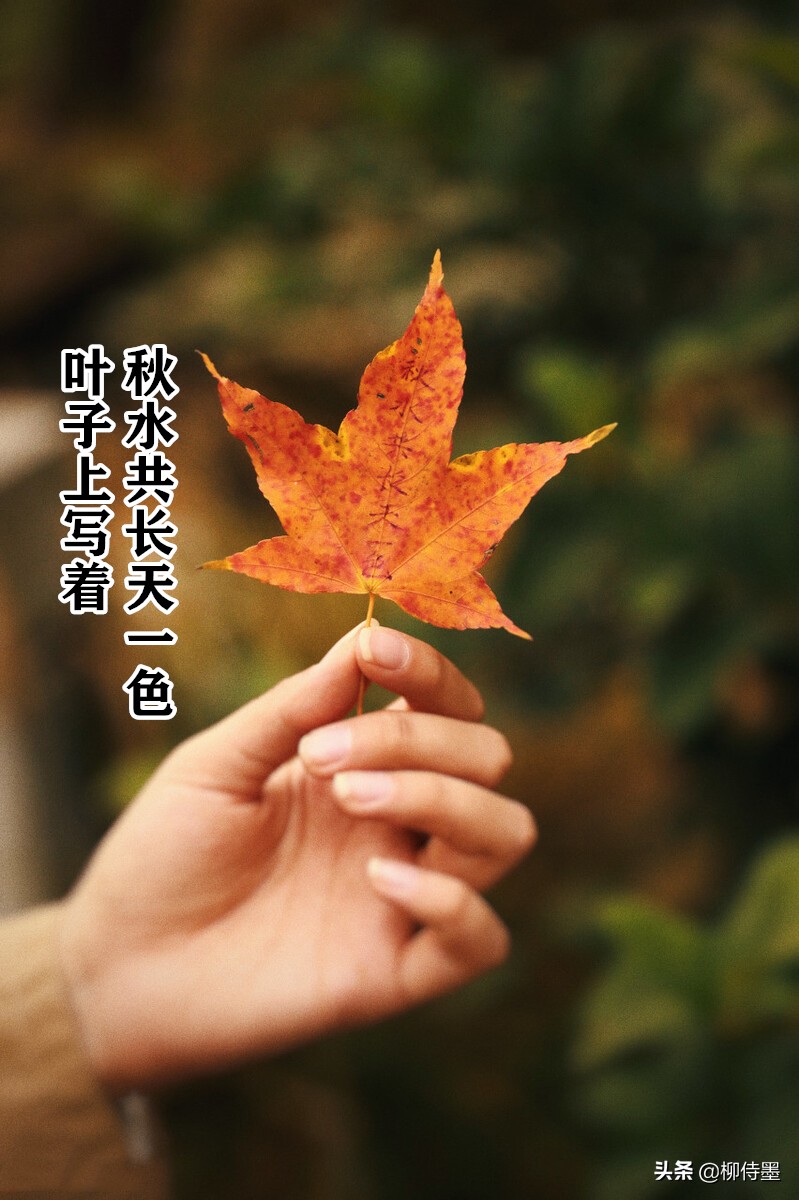 摄影新手如何拍摄照片教程,新手学习摄影入门第一步