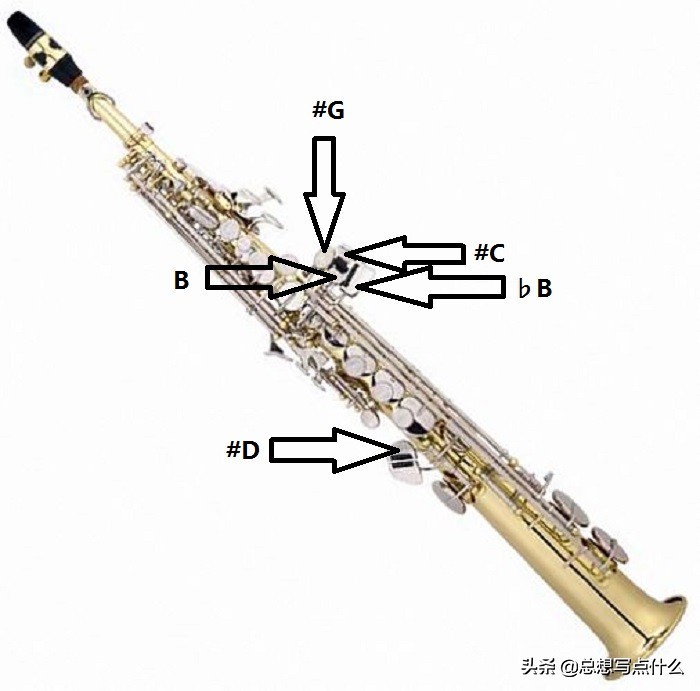 萨克斯各种按键介绍,萨克斯的构成方法