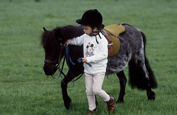 灏忓皬涔旀不鐪熷疄韬唤,灏忓皬涔旀不