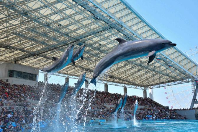 东京旅行性价比最高的酒店,东京旅游性价比高的酒店