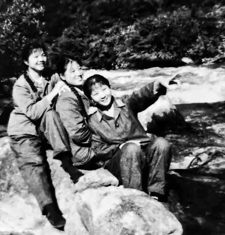 在*藏西**,我们的第三*战野**医院,我们的芳华……