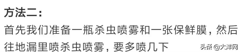 怎样根治家中的小飞虫,家里一堆小飞虫怎么解决