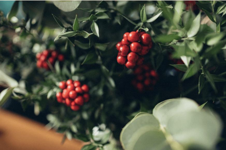 无性婚姻,只能忍吗?性冷淡的原因其实和“性能量压抑”有关