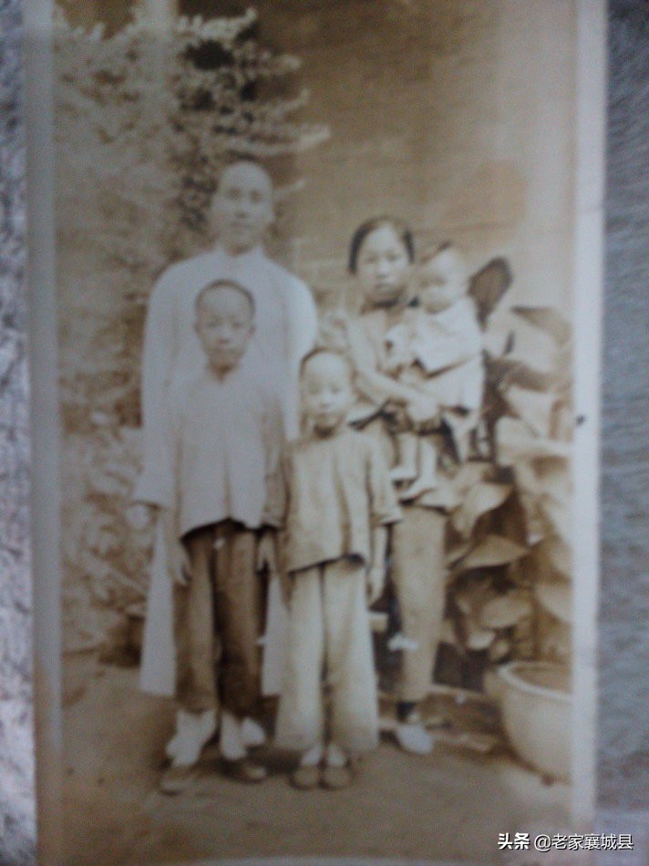 名医王爱莲详细介绍