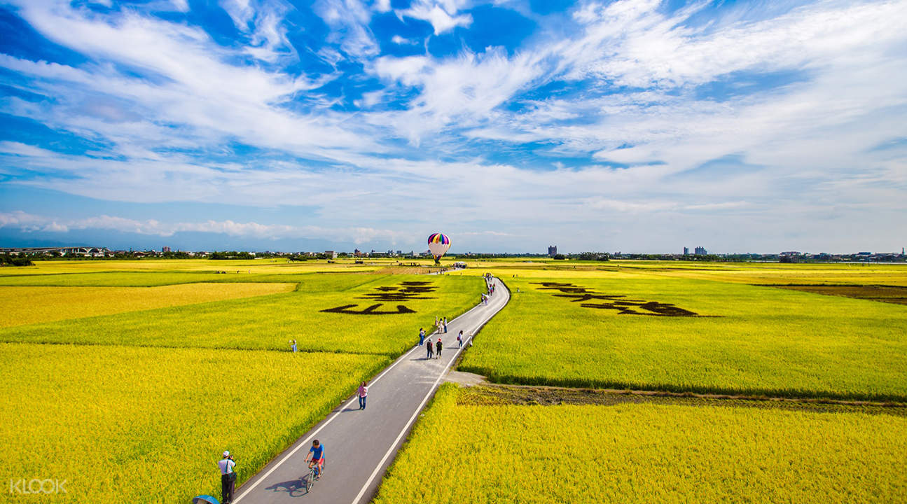 山地车租赁,成都山地车租赁