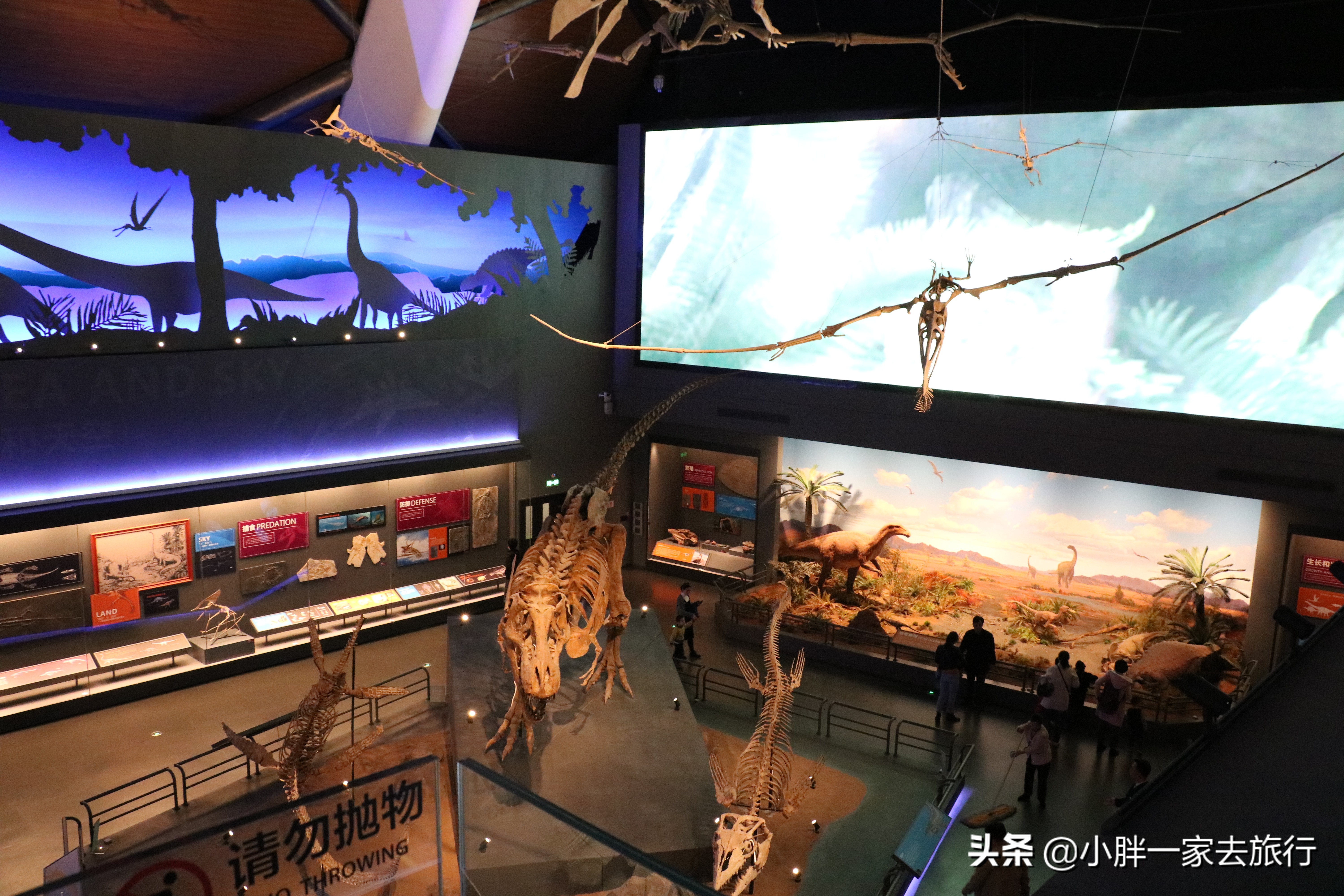 最大的北京海洋博物馆,海上故宫国家海洋博物馆