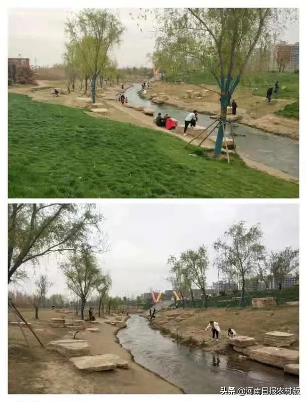 大沽河畔春意浓,清水河畔茉莉清香