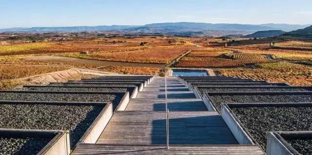 葡萄酒分级aop和aoc的区别,欧盟葡萄酒分级制度第一级别