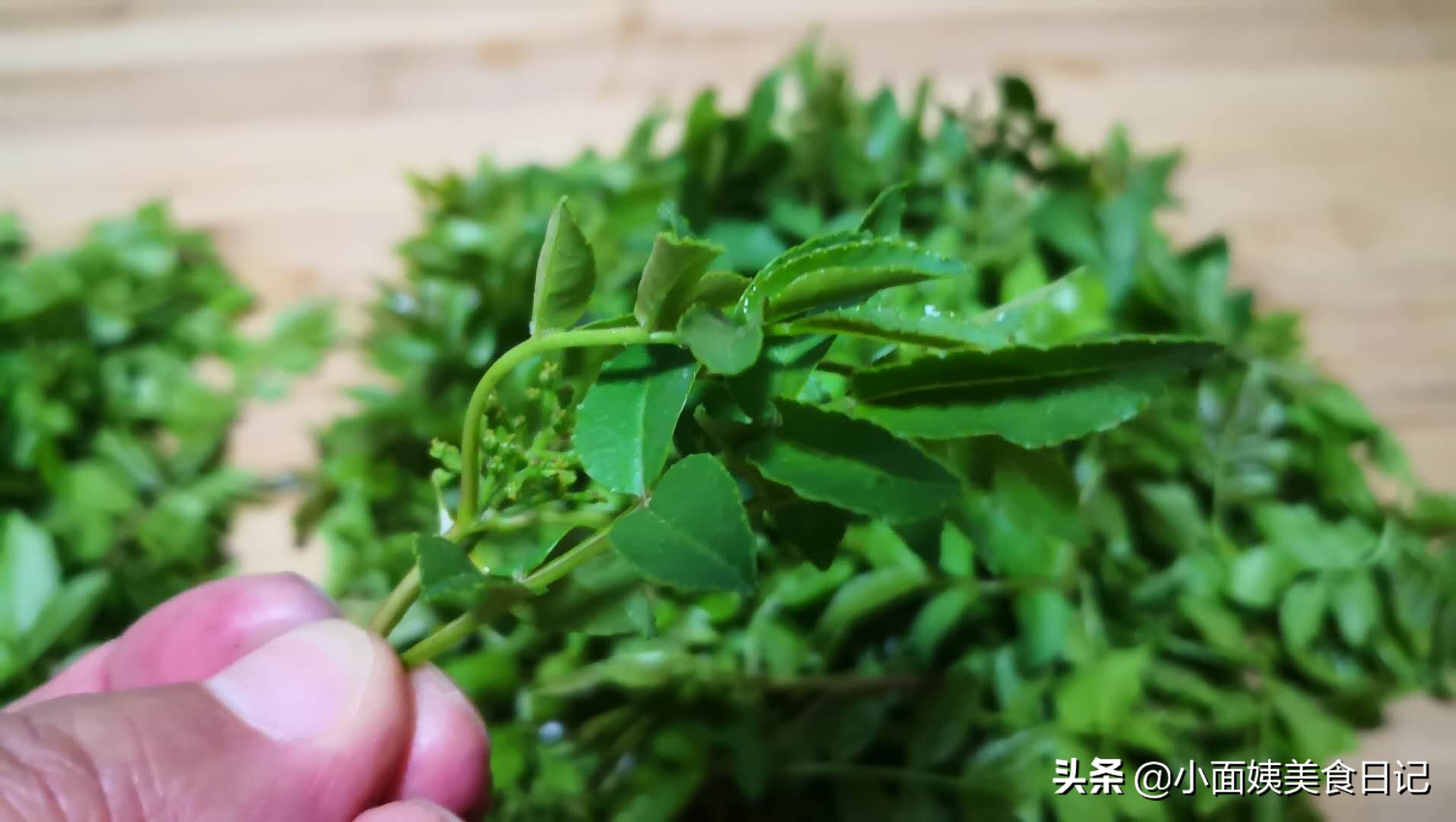 采摘花椒妙招,摘花椒前椒芽怎么处理