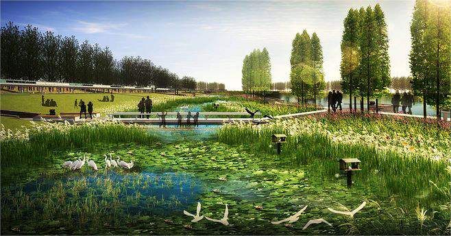 放大招优惠,放大招团购