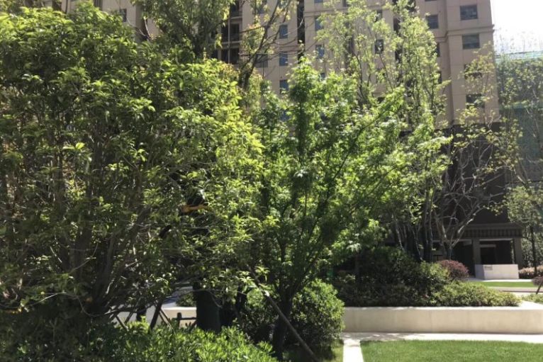 南京物业黑榜弘阳,南京物业黑榜名单