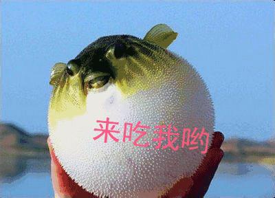 越来越稀奇的淡水鱼,最色彩多姿的淡水鱼