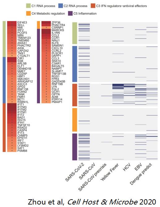 中医科学院任丽丽,任丽丽