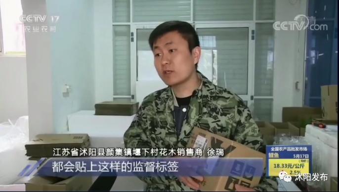 重磅!央视一天两次为沭阳点赞,诚信标签助力沭阳花木转型升级