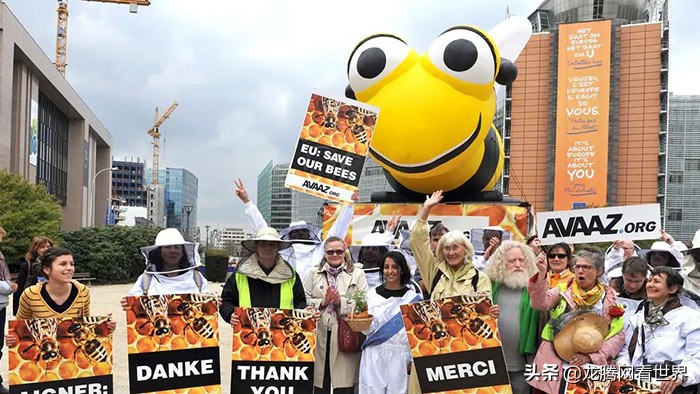 「龙腾网」英国政府允许农民使用欧盟禁止的危害蜜蜂的杀虫剂