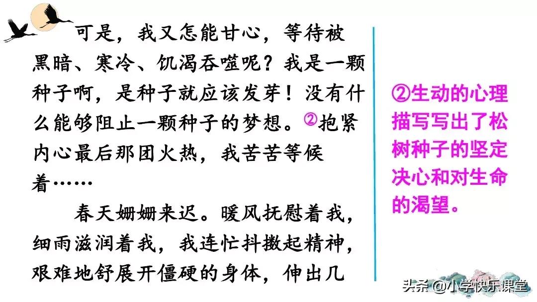 部编版六年级作文变形记范文,部编版六年级上册作文变形记教案