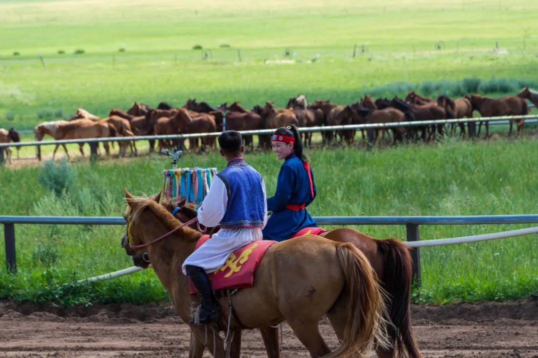 自驾三天呼伦贝尔大草原,自驾去呼伦贝尔草原七日游的攻略