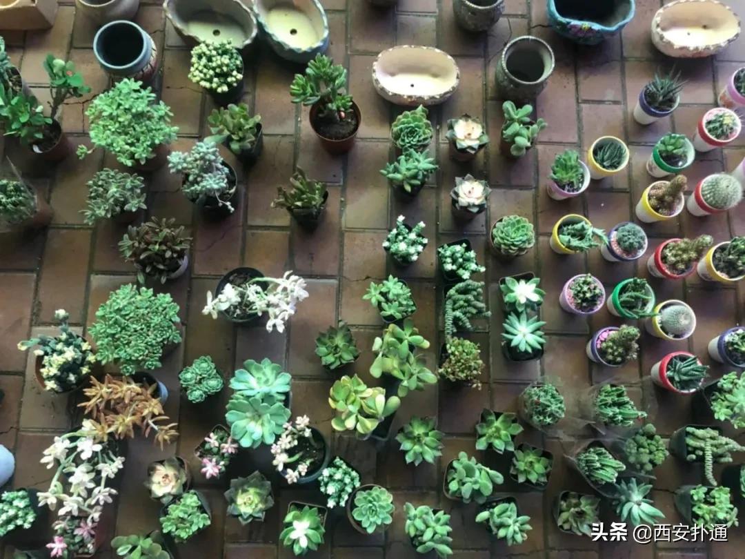 摆摊人的真实经历到底赚不赚钱,90后摆摊的经历和感受