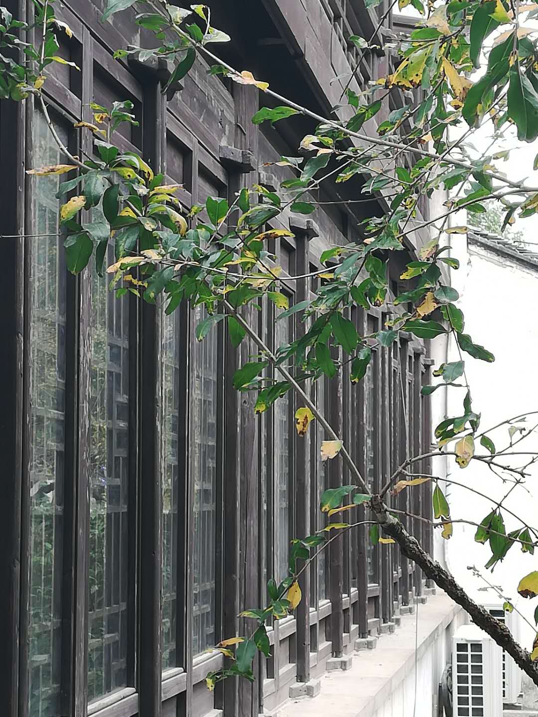 徒步无锡古运河寻找美景,无锡最美沿太湖路线