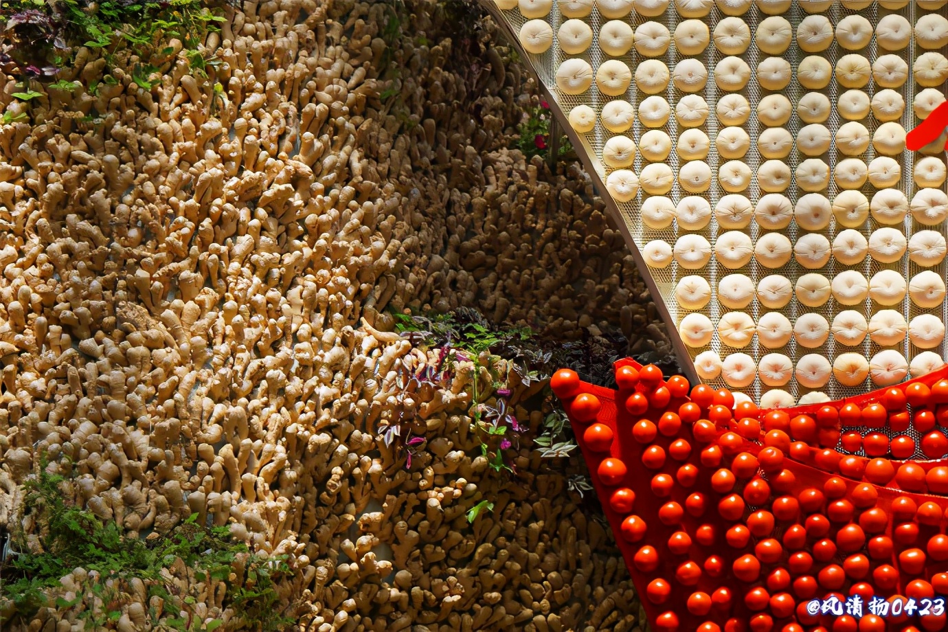 菜博会第一届,2022年菜博会天下情怀景观