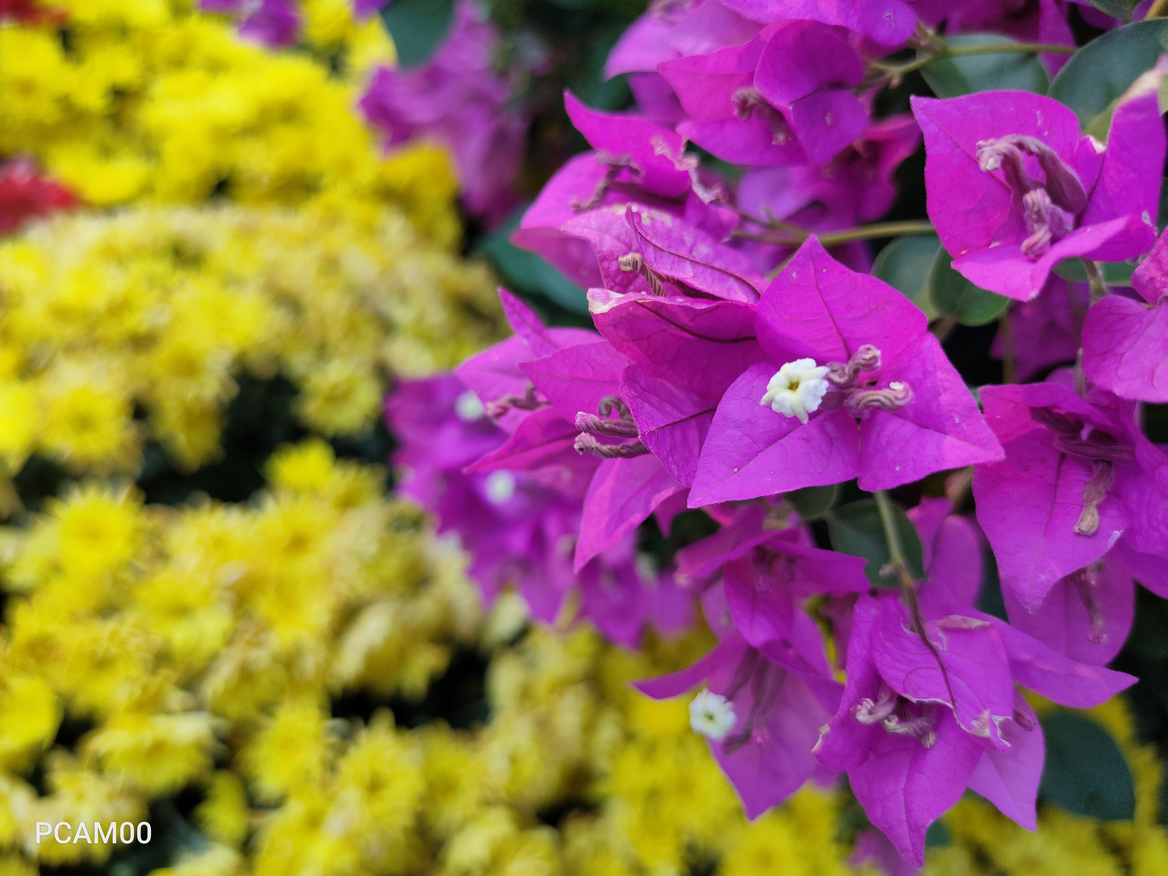 OPPOK5体验：骁龙730G+6400万主摄，1899元起售