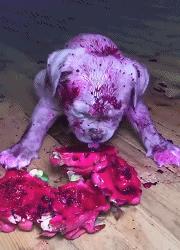 搞笑GIF段子:.我的小萝莉呢?你还我的小萝莉