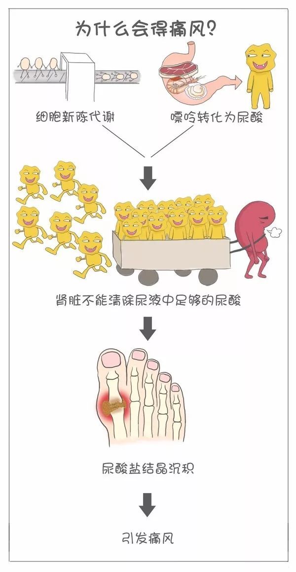 痛风真的有那么可怕吗,痛风到底有多可怕看完全都明白了