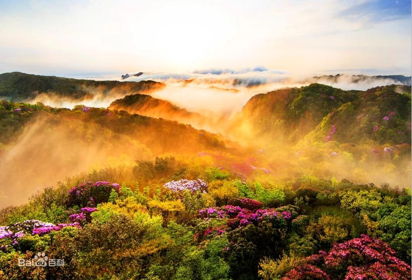 米澜意芙尼产品算什么档次,米澜意芙尼旗舰店