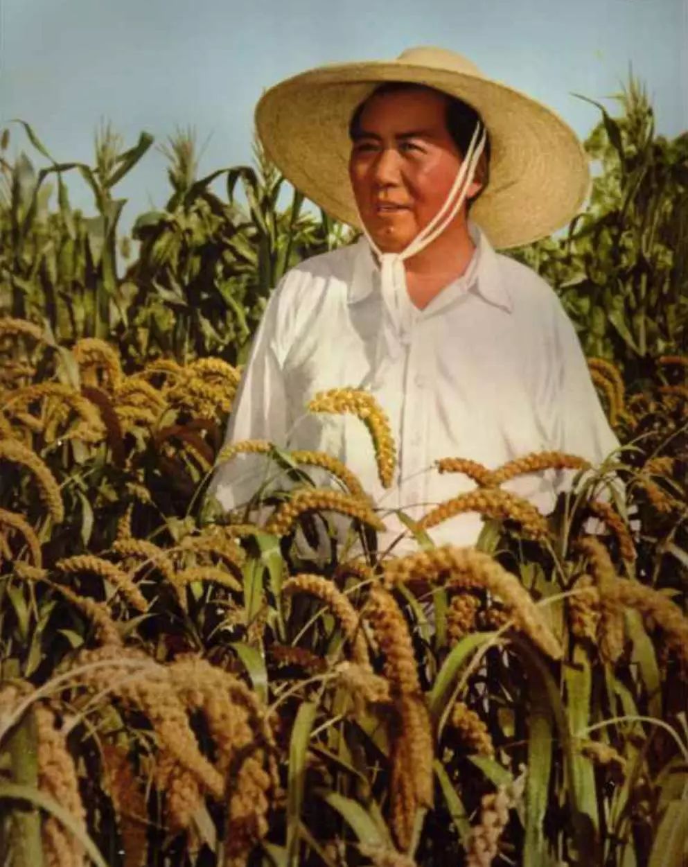 毛主席的50句话:句句振奋人心,充满力量!我辈当牢记于心