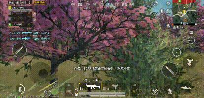 和平精英许愿树在哪里刷新,和平精英七夕祈愿树刷点