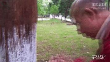 家长给孩子吃蝌蚪会怎么样,生吃活小蝌蚪有什么益处