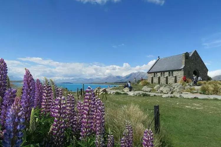 新西兰南岛有哪些城镇的湖,新西兰姊妹湖在哪里