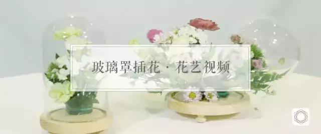 插花花枝怎么修,拯救枯萎蝴蝶兰