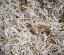 小乌龟怎么饲养小巴西龟,路边买的小乌龟怎么饲养