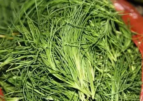 武穴又到挖野菜的时候了，江边好多人都在挖野菜，你吃了吗？