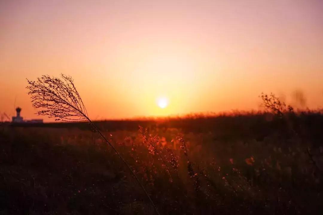 人生天地间忽如远行客动漫,人行天地间忽如远行客原文