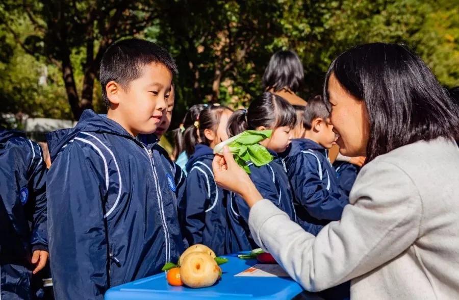 南京比较好的小学学校排名,南京名校小学最新排名