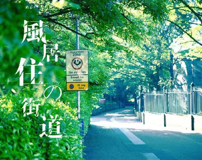 风居住的街道钢琴版,风居住的街道睦芯