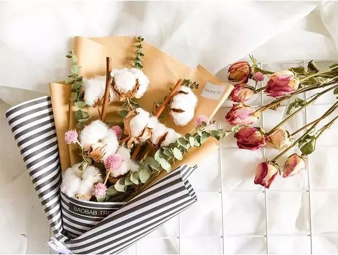 50种鲜切花花语，每个花艺师都要知道