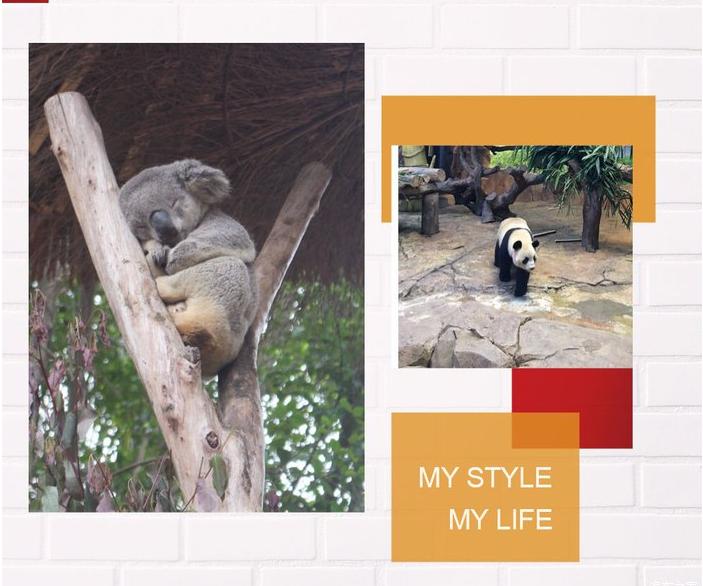 团队自驾游南澳岛旅游攻略,自驾广州长隆3天2夜亲子游攻略