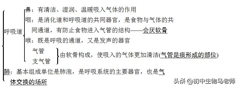 中考生物复习要点速记（人教版）第四单元生物圈中的人