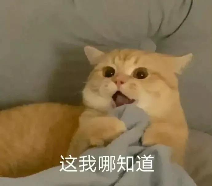 表情包搞笑沙雕惊讶的表情包,沙雕搞笑表情包动态