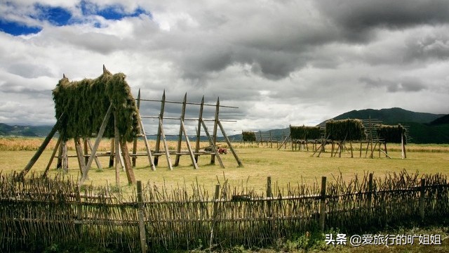 香格里拉低价旅游团禁令,跟团去香格里拉导游套路