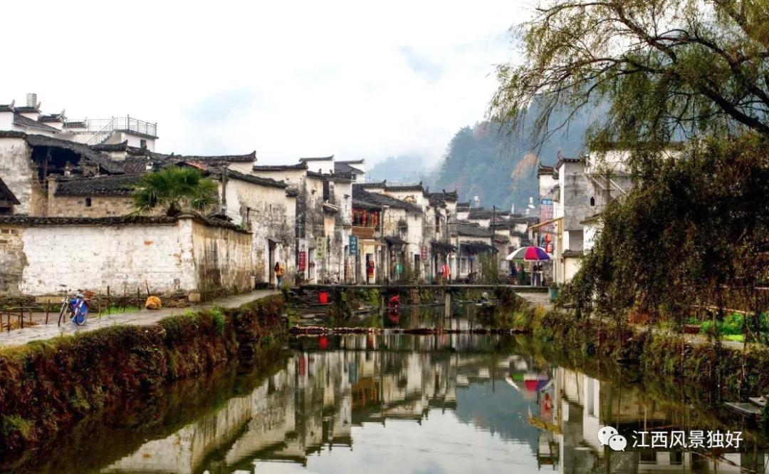 朱虹江西风景独好,朱虹绝代佳人