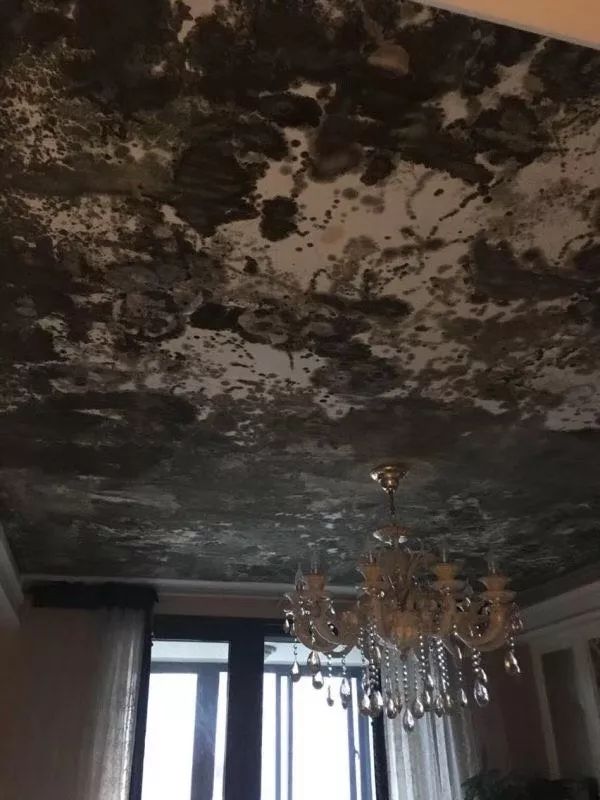 苦尽甘来！南京多家小区换物业！业主扬言要涨价