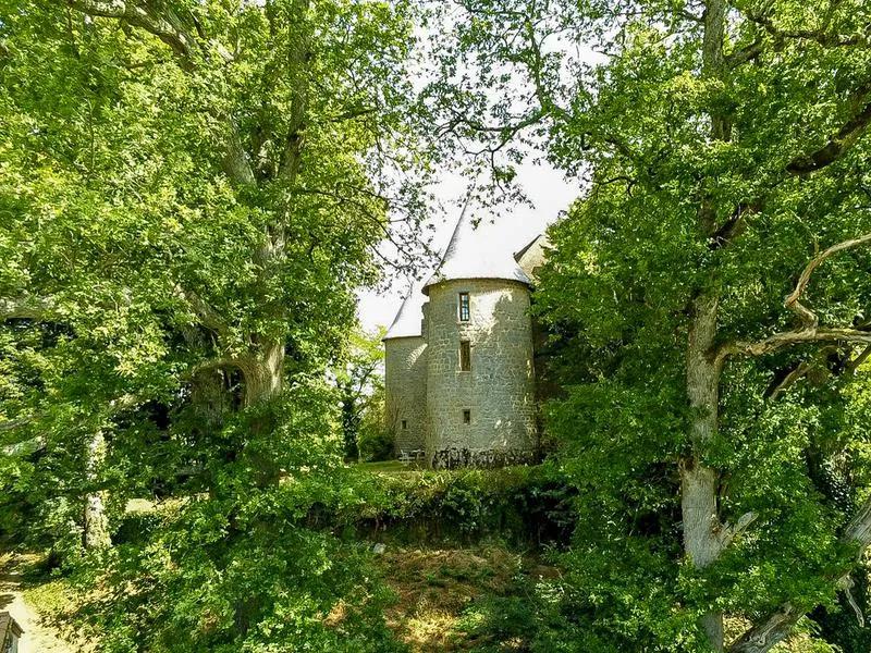 法国酒庄葡萄酒价格暴跌,法国古堡庄园甩卖房子