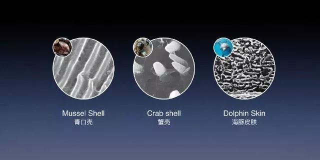 罗永浩发布会ppt教程,罗永浩说新品发布