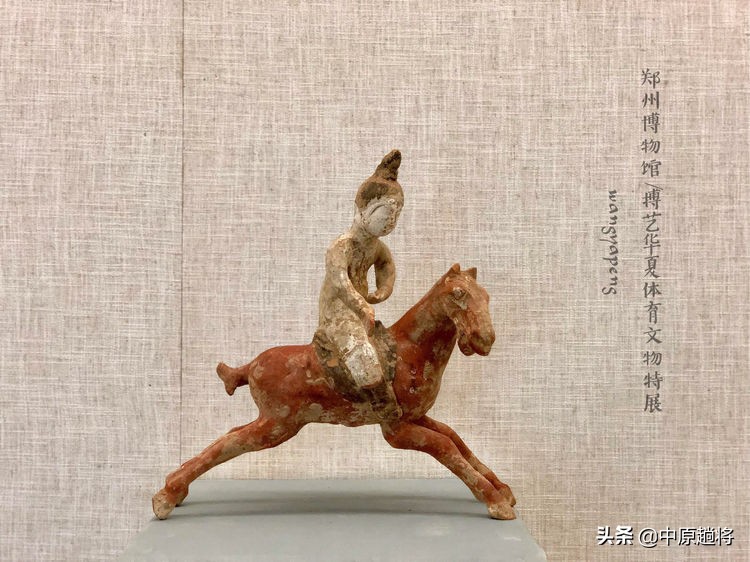 古代的体育运动你知道多少？郑州博物馆看华夏体育*物文**特展