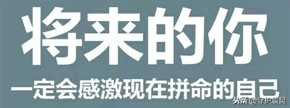 自媒体作者都有哪些,目前最好的自媒体作者
